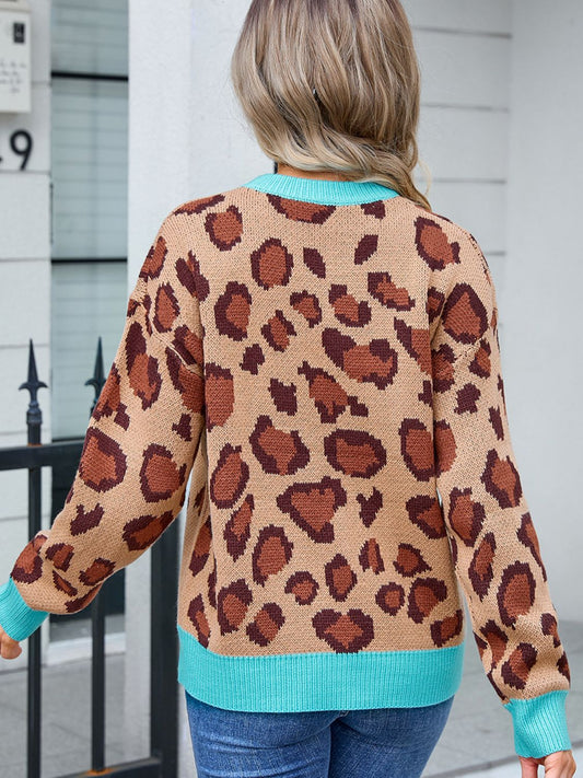 Bold Borders Leopard Sweater