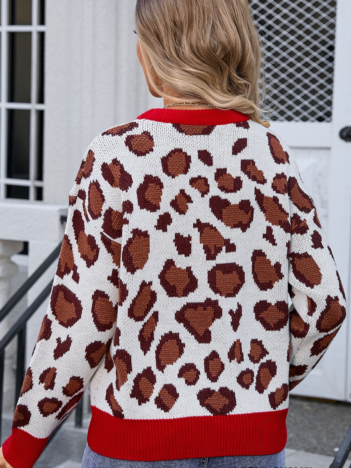 Bold Borders Leopard Sweater